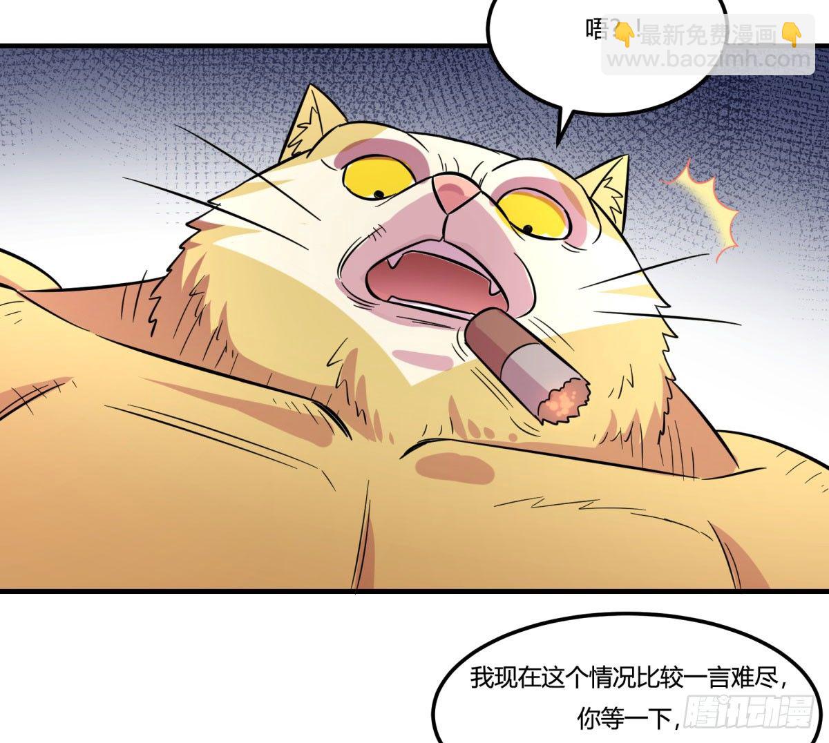 双十一来临（下）15