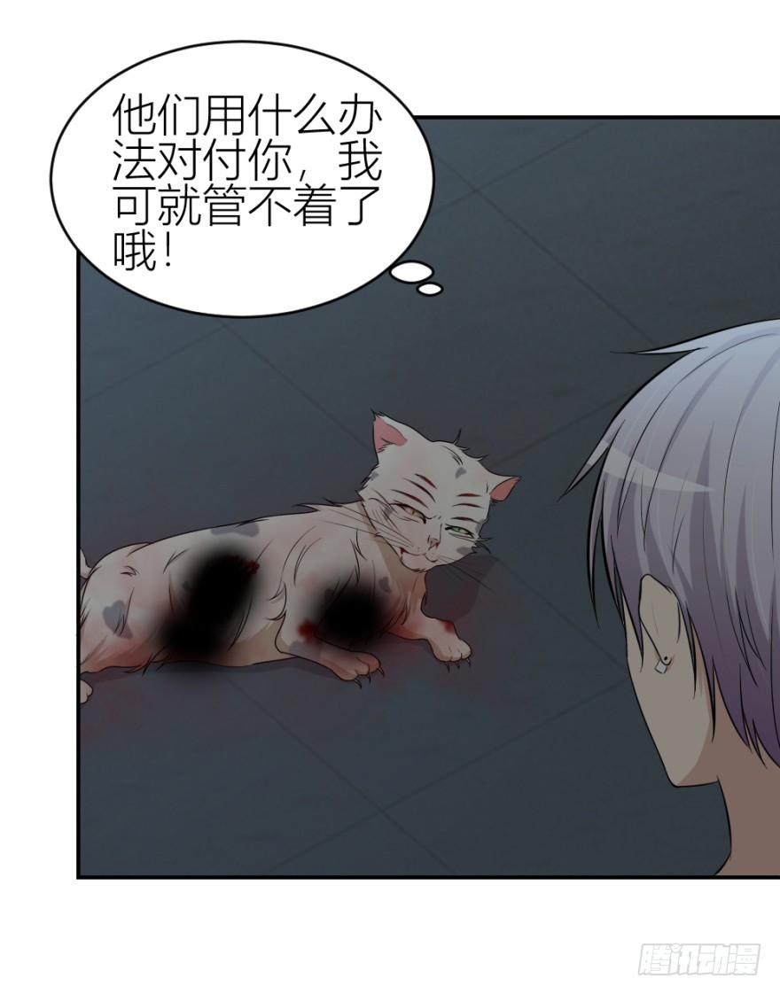 第八十五回 又入未知界14