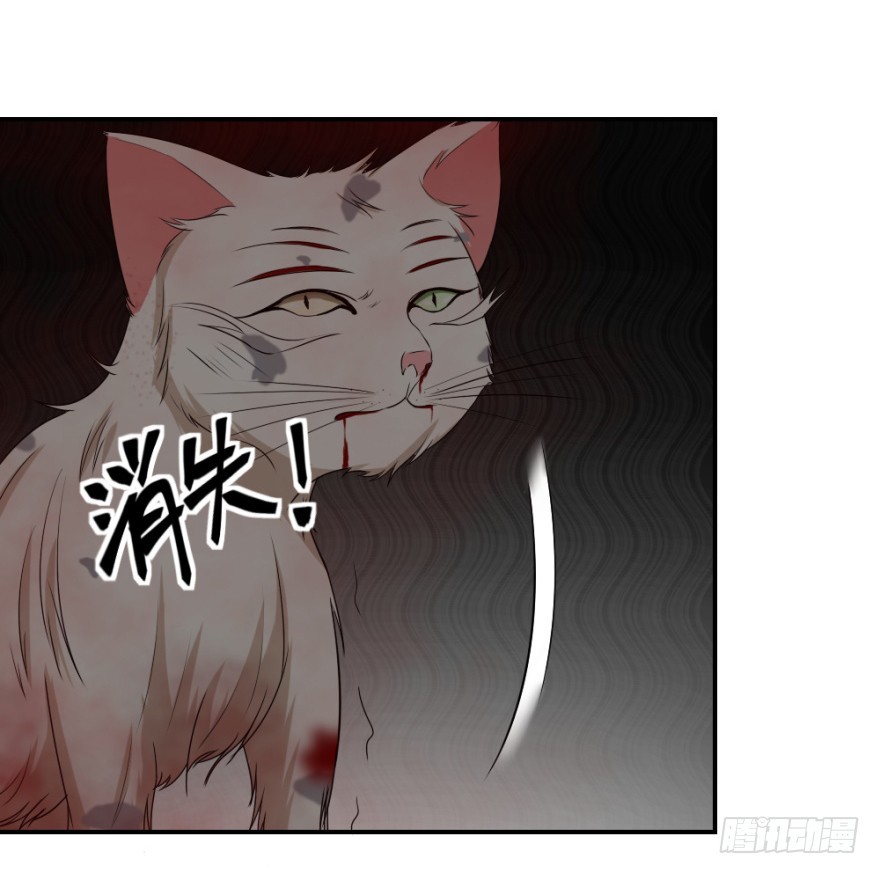 第八十五回 又入未知界15