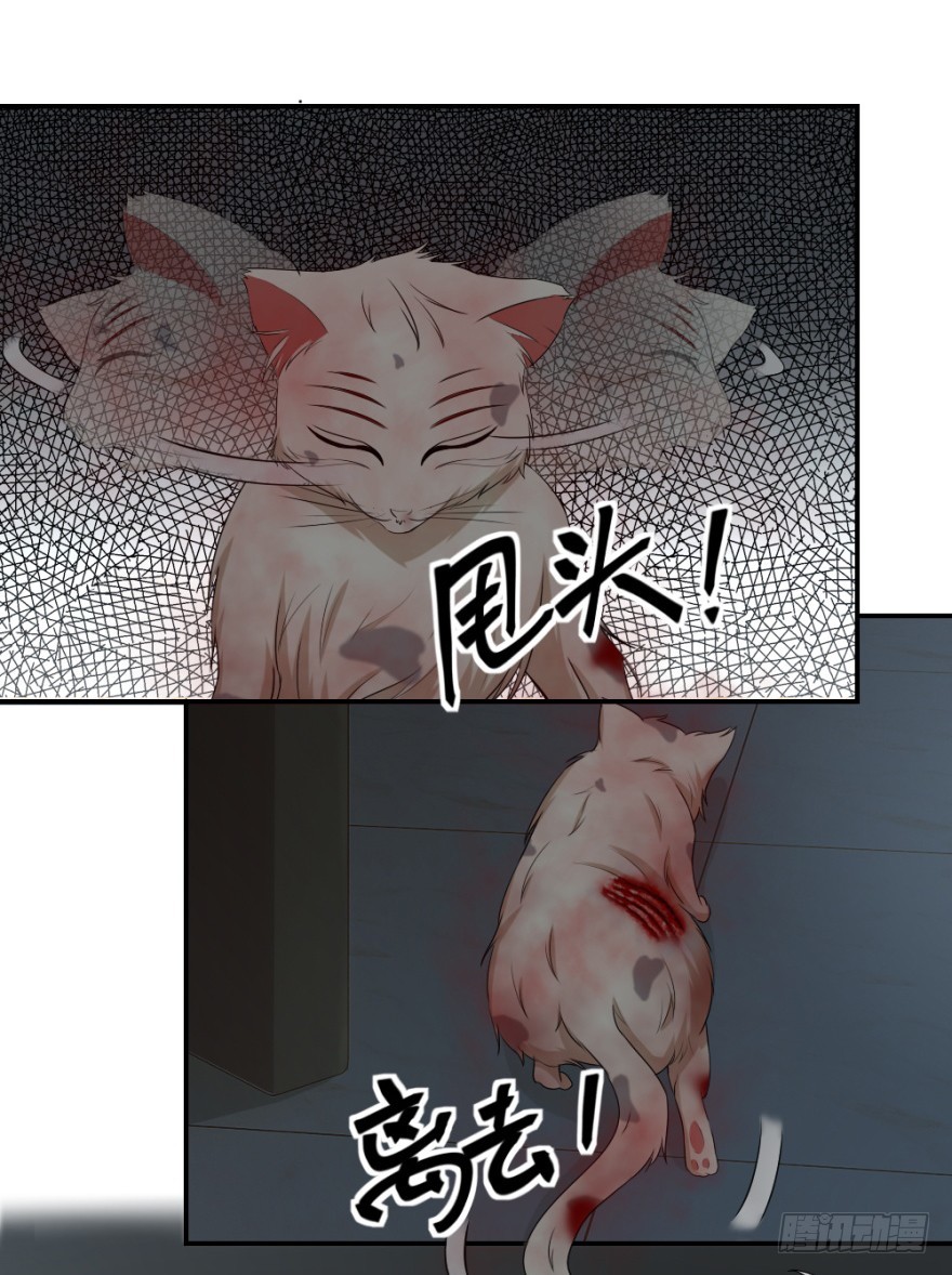 第八十五回 又入未知界17