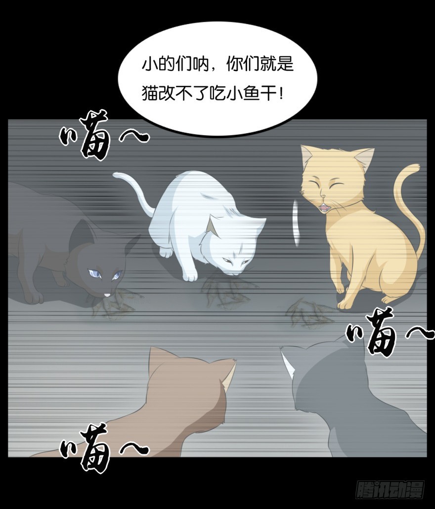 第九十一回 猫奴锦飞23