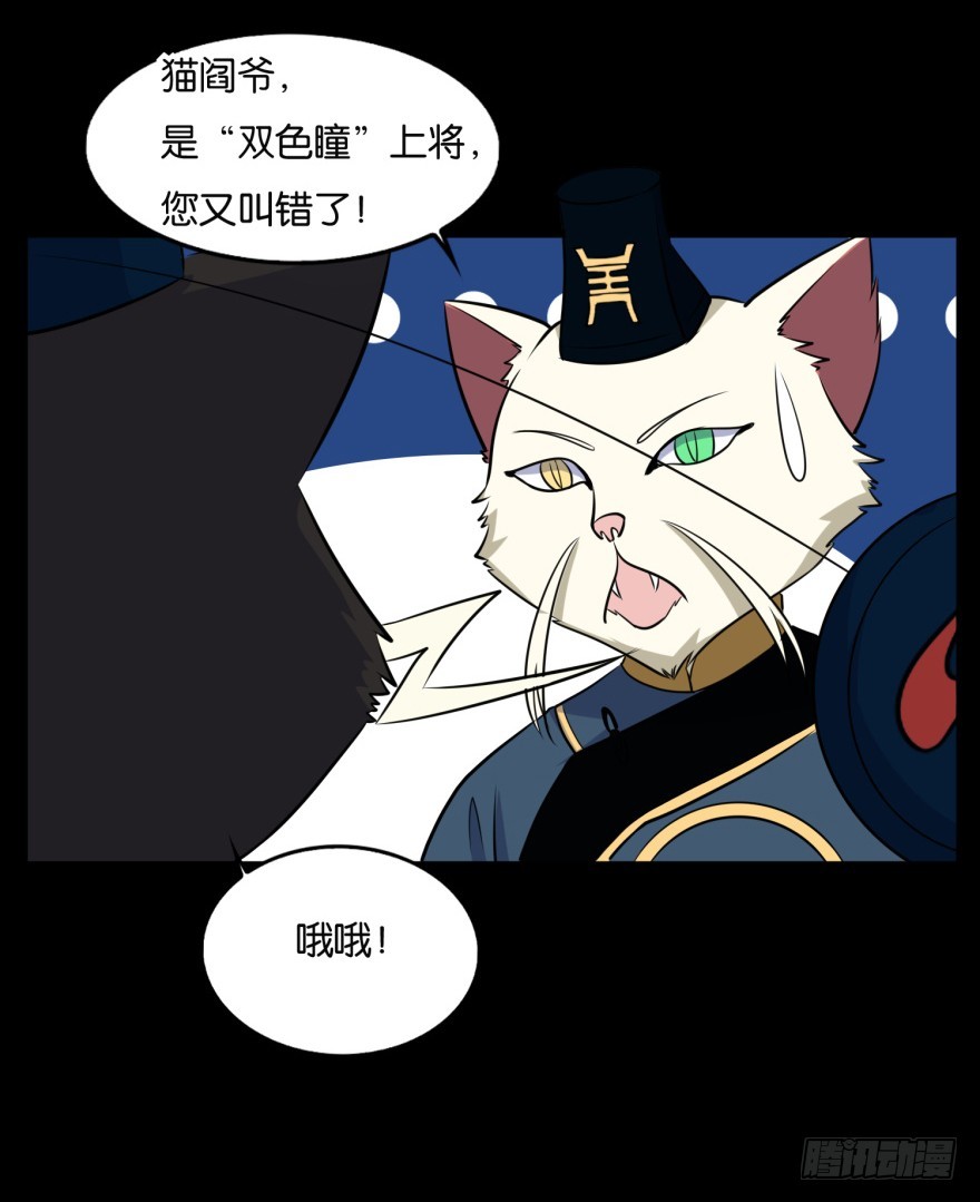 第九十一回 猫奴锦飞41