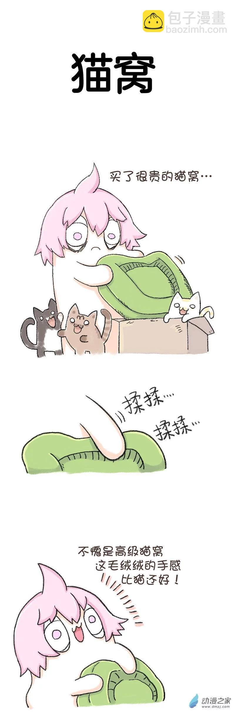 第38话 猫猫报恩4