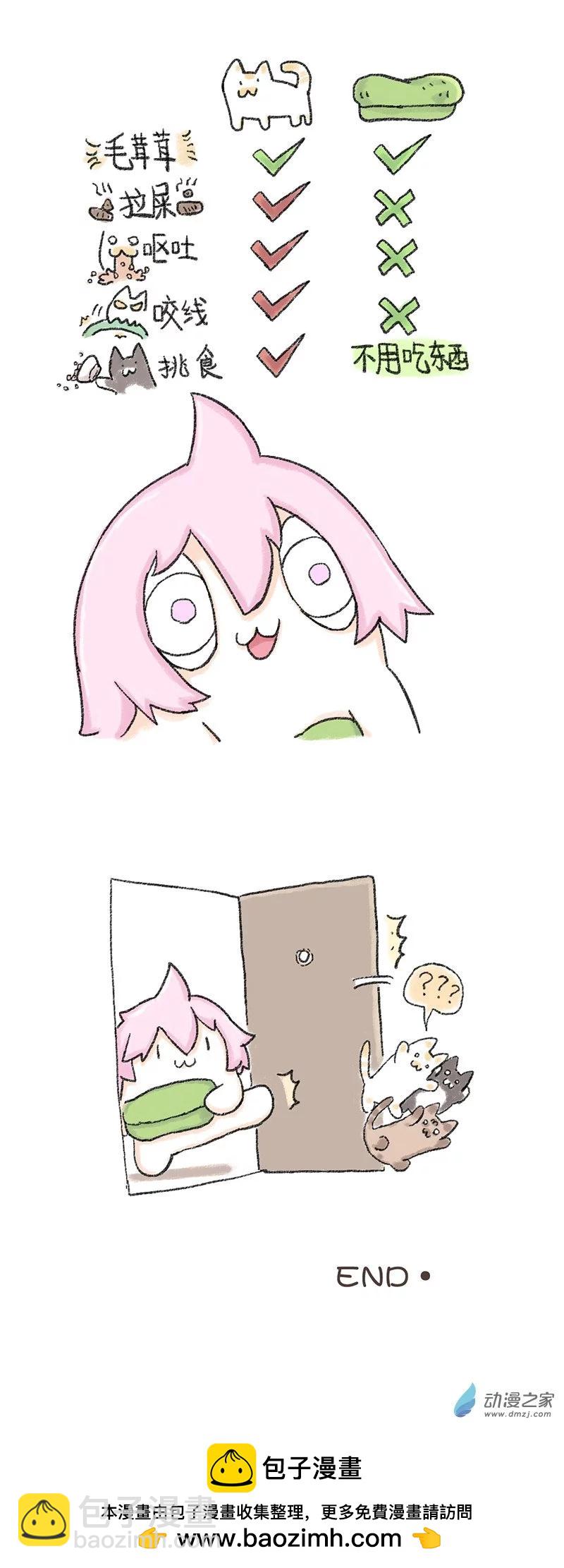 第38话 猫猫报恩5