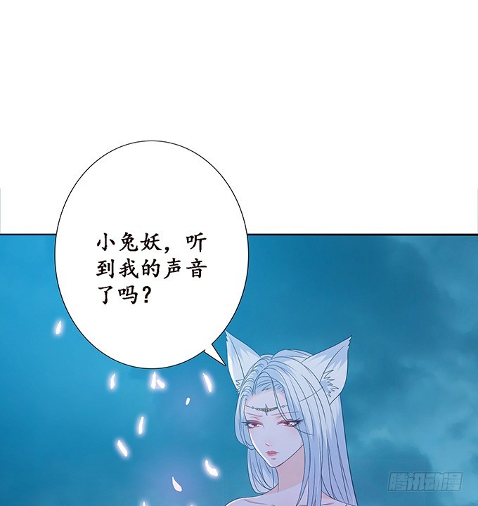 孤独的成全44