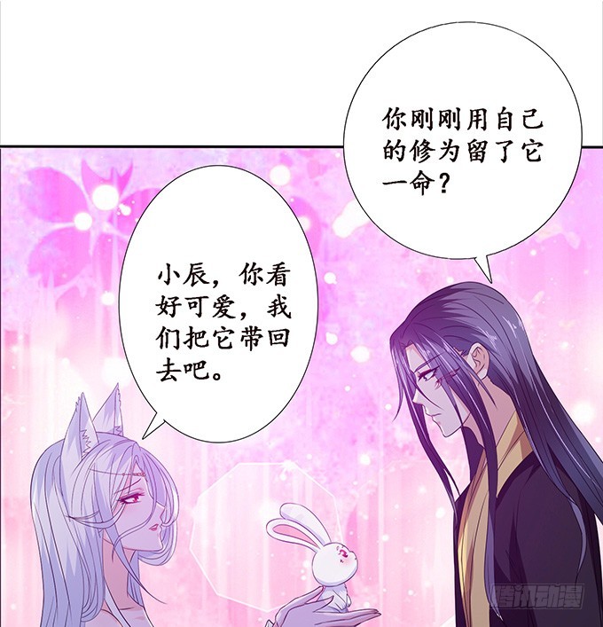 孤独的成全56