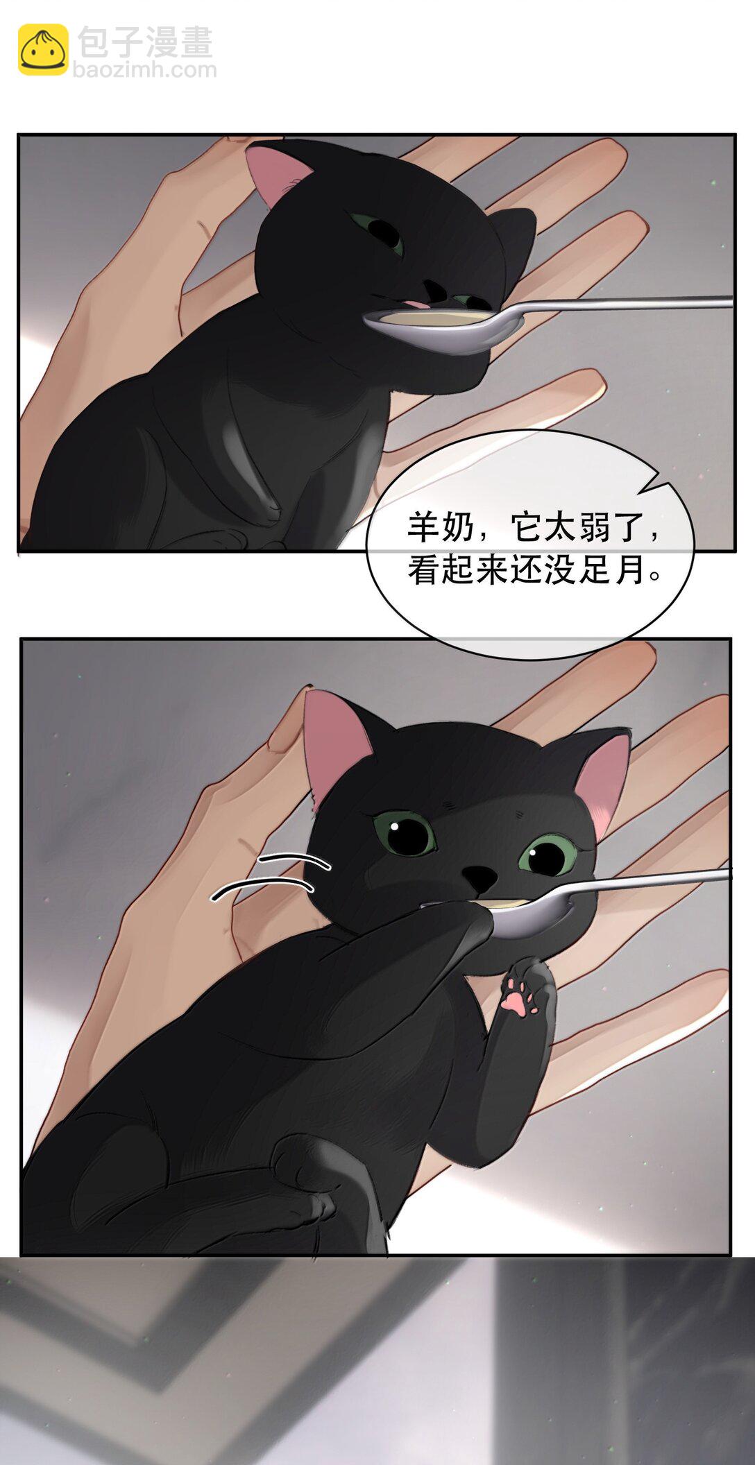 059 知道了，霍爸爸11