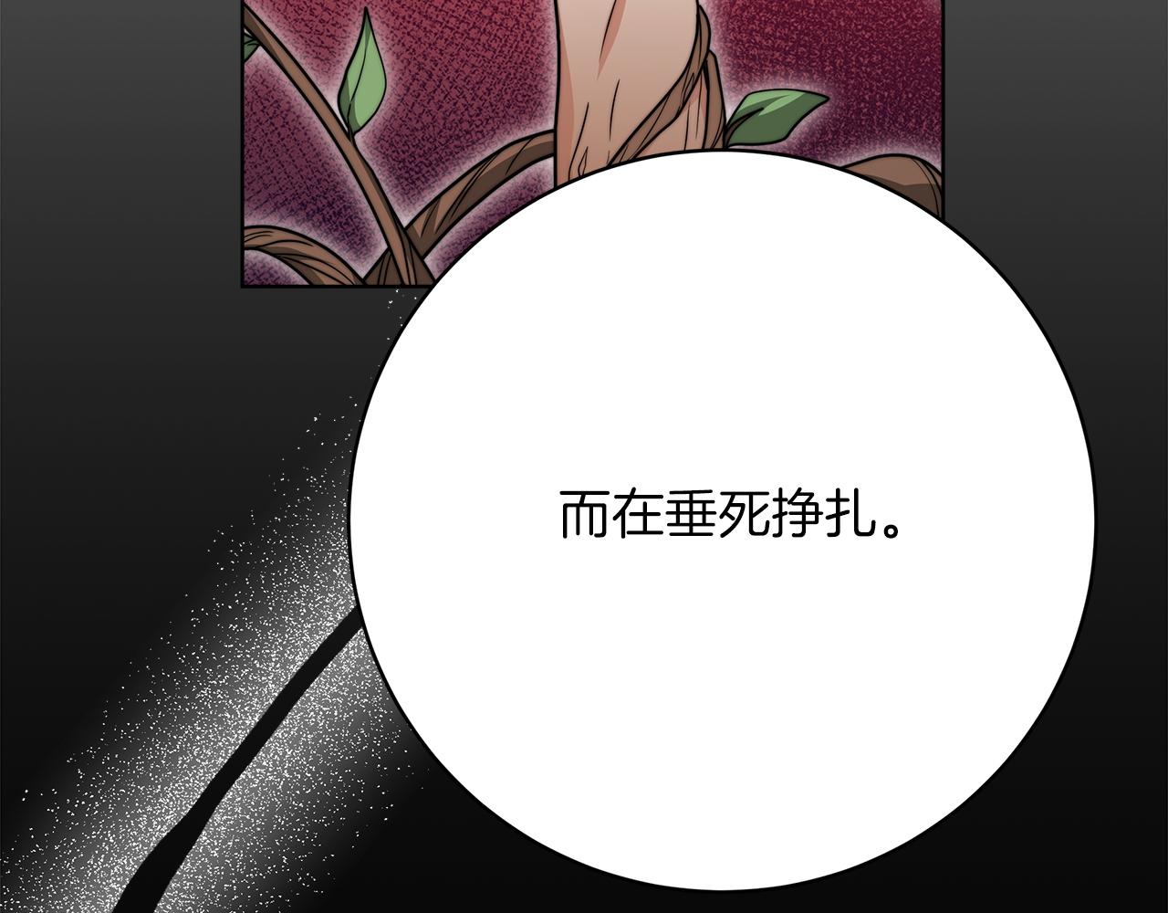 第98话  世界树种子148