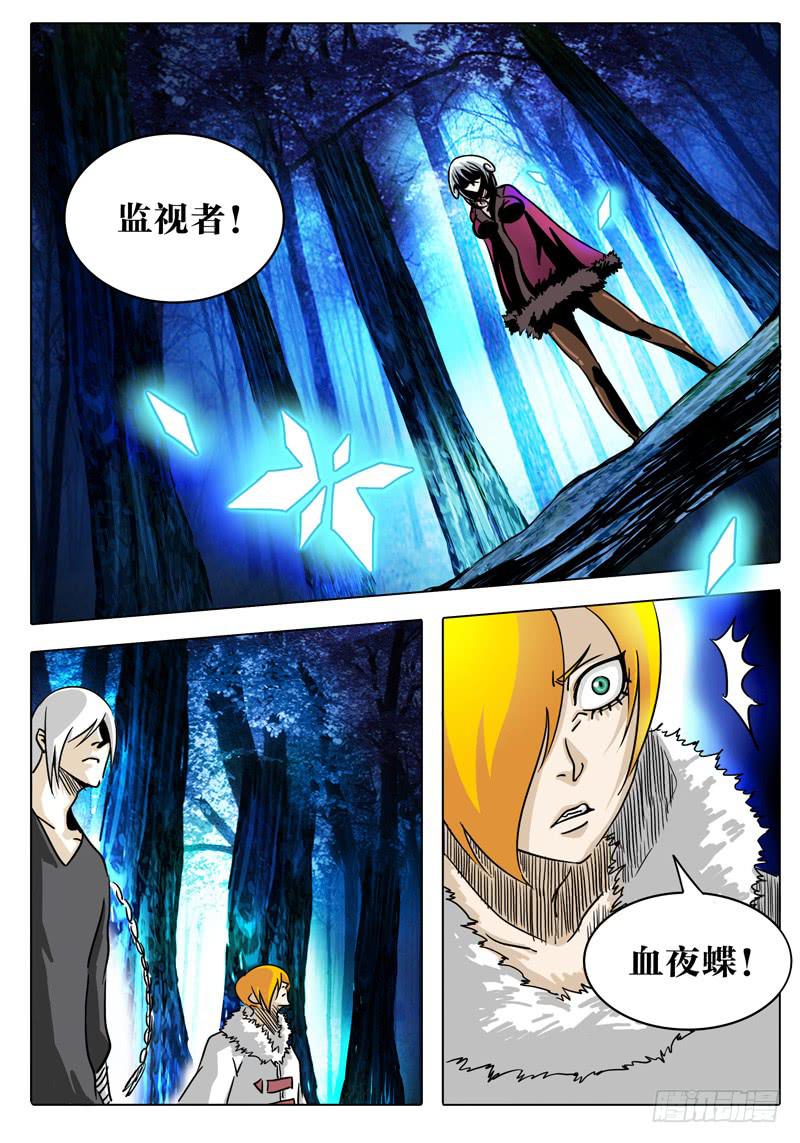 第15话 正篇！森罗大陆1
