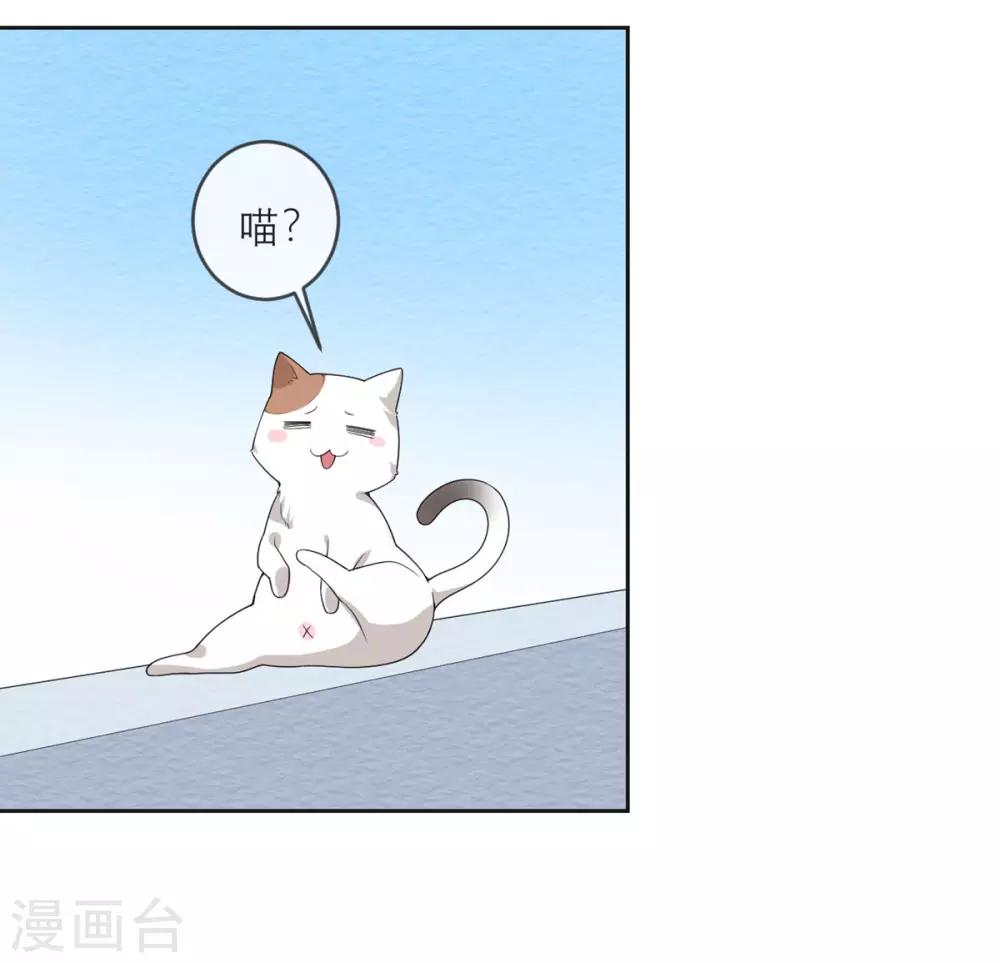 第19话 紧张刺激的监视日常17
