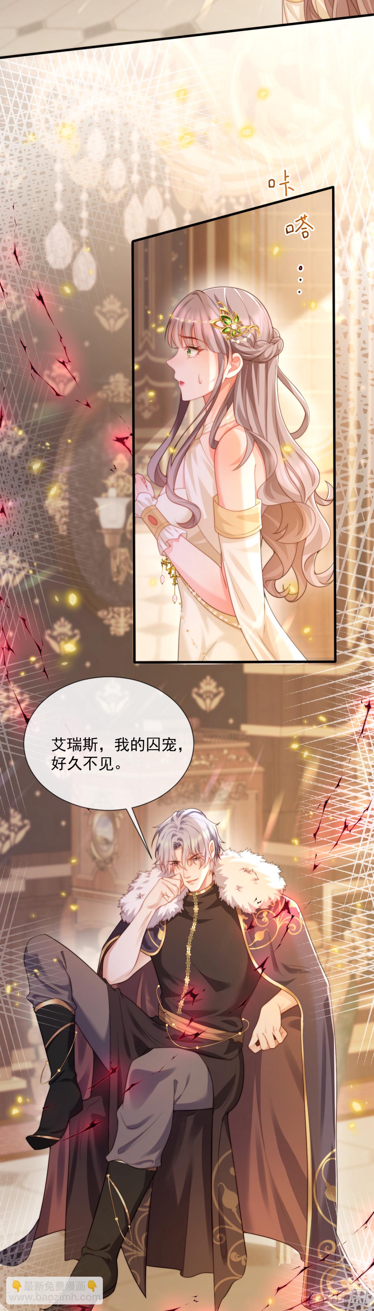 好久不见，我的囚宠4