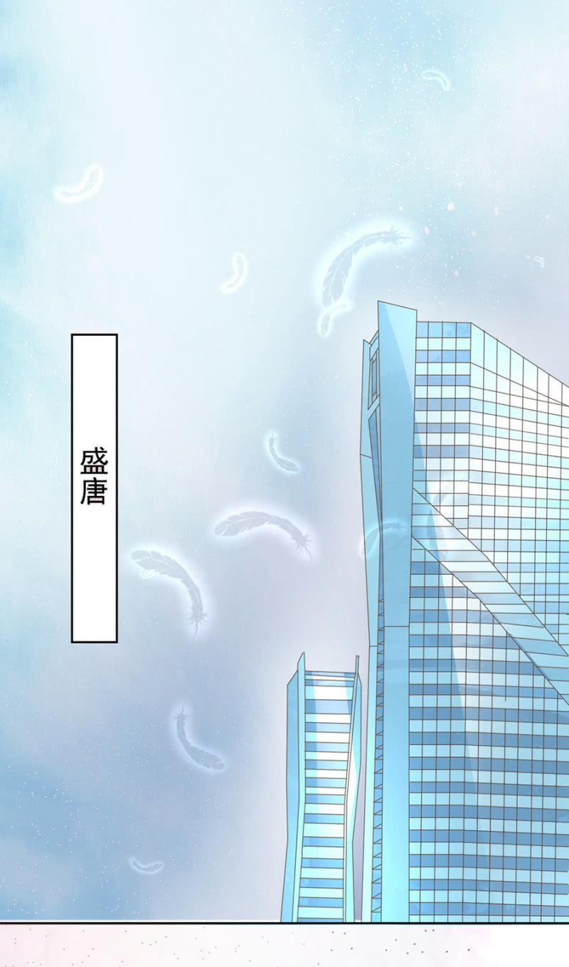 唐少爷来了5