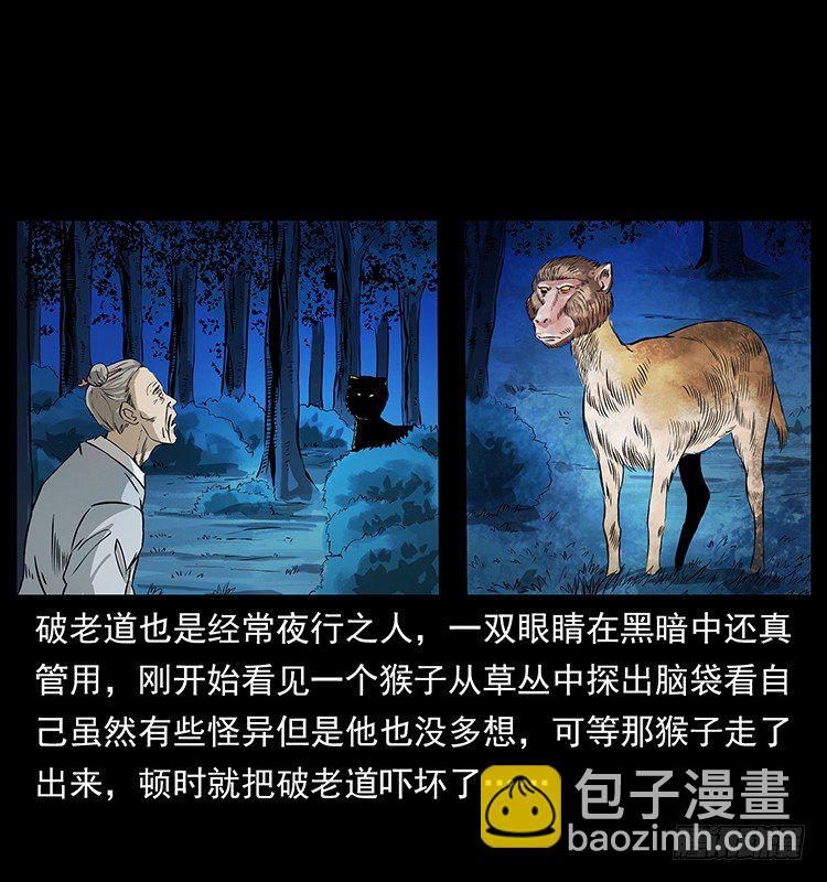 神医19