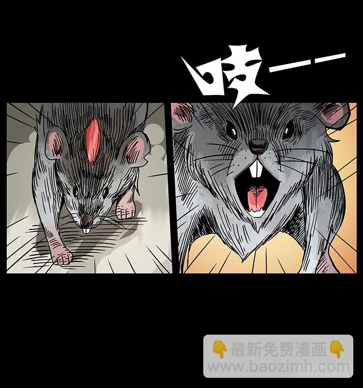 出马阿火40