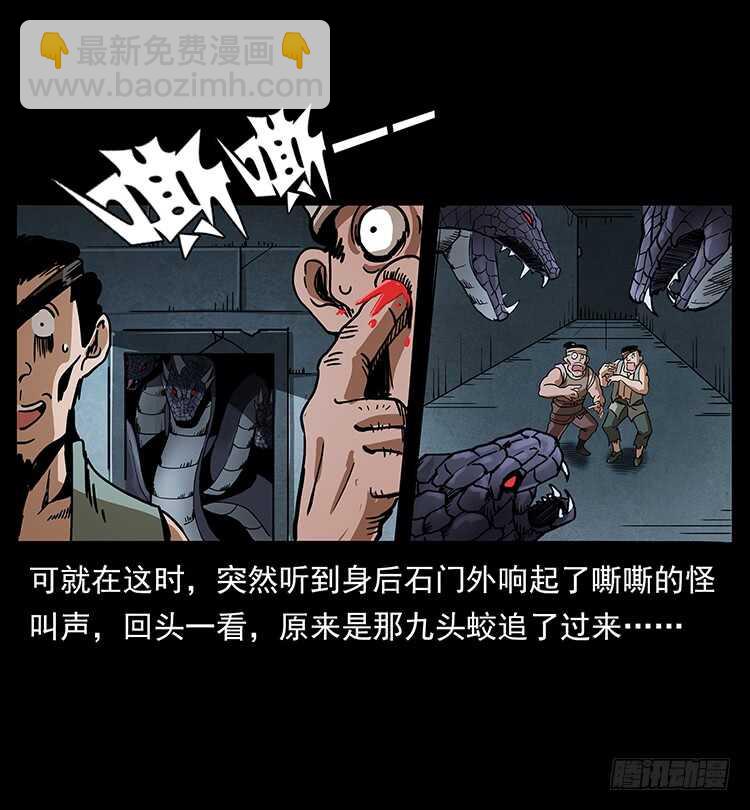 九头蛟的身世20