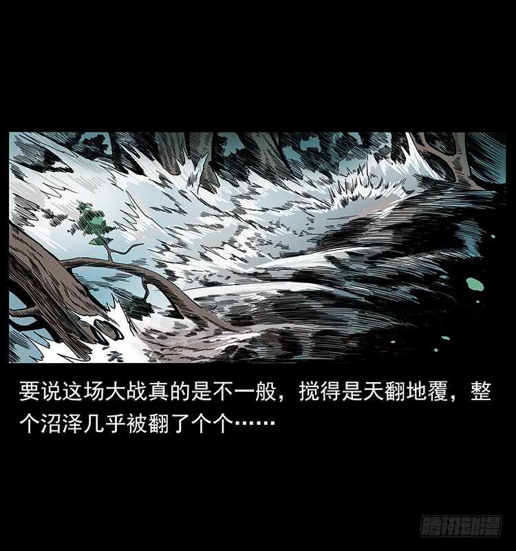 九头蛟的身世46