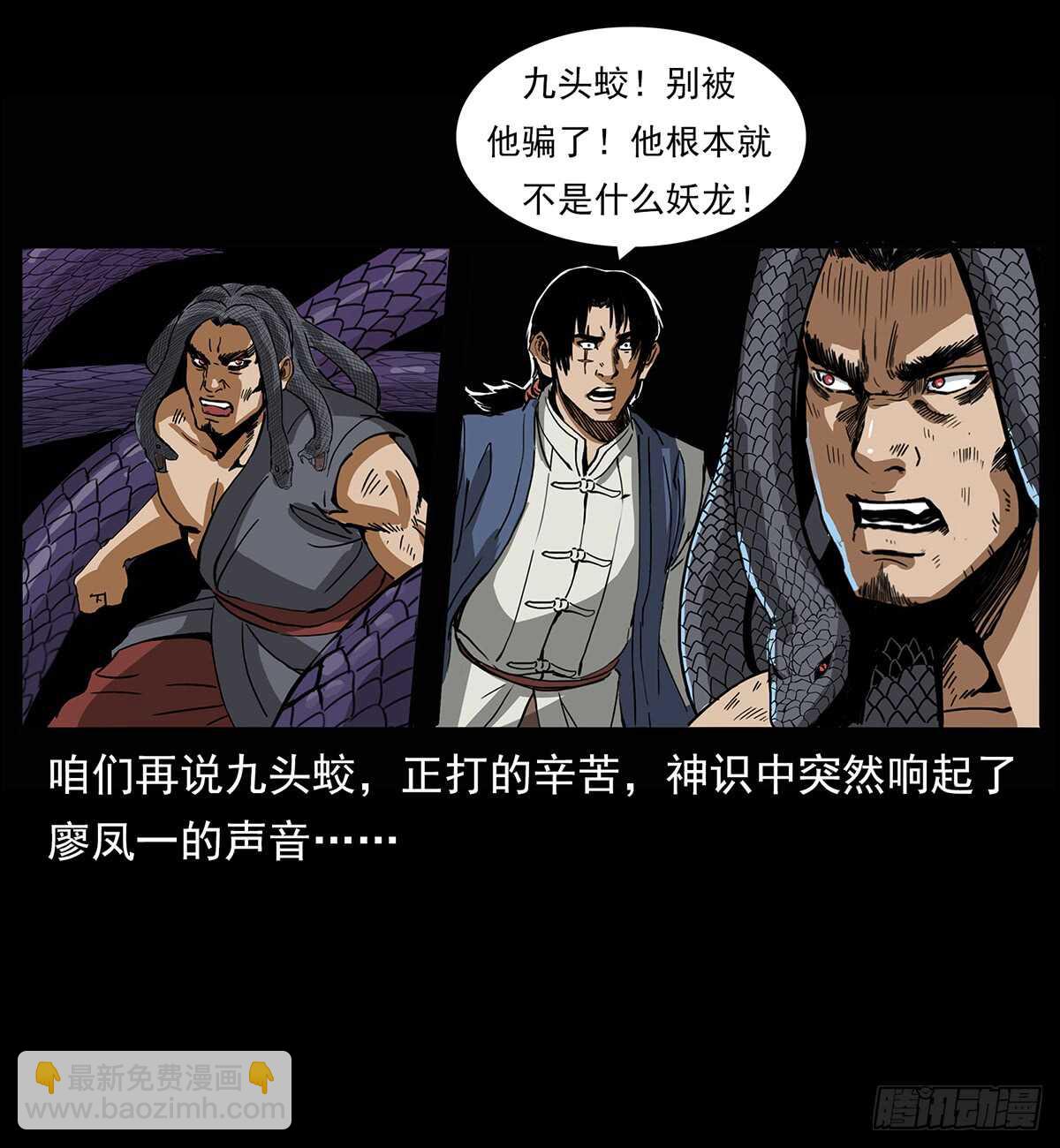 凤之眼11