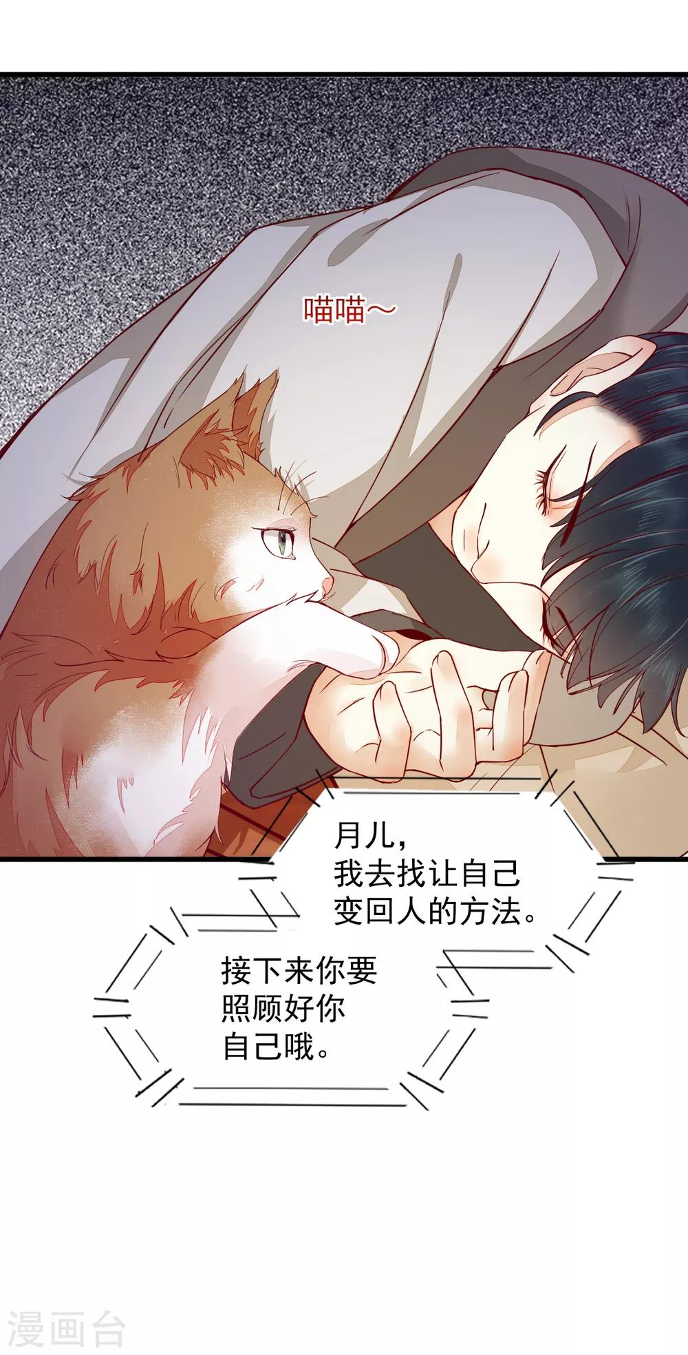 第31话 情深13