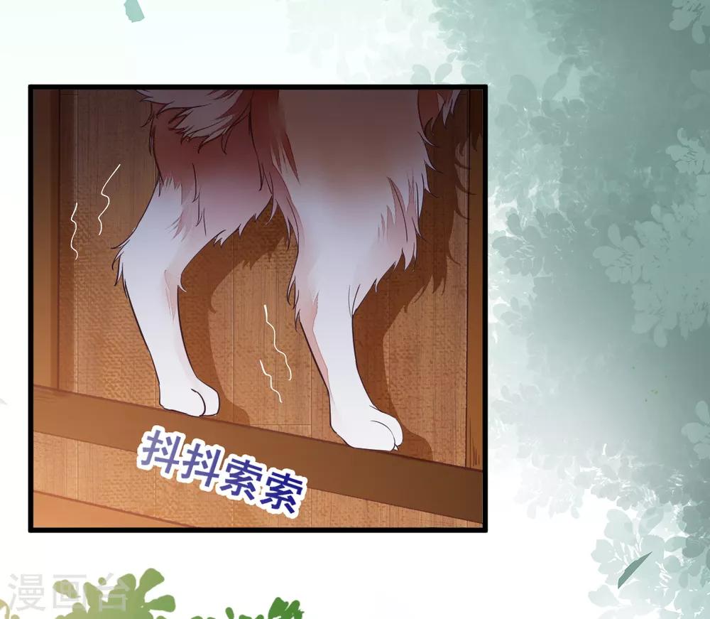 第31话 情深16