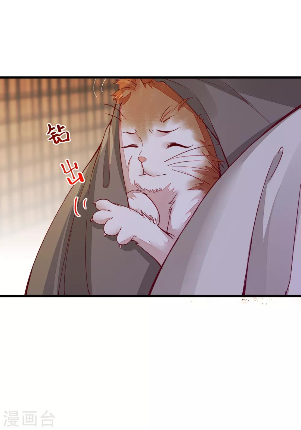第31话 情深9