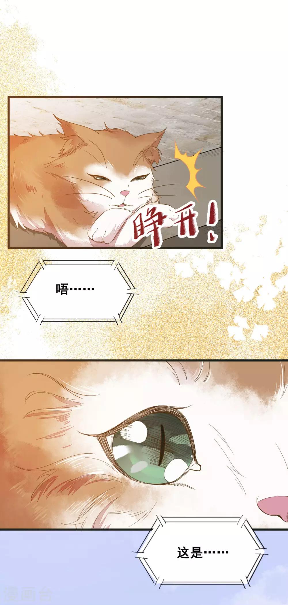 第32话 喵仙人？0