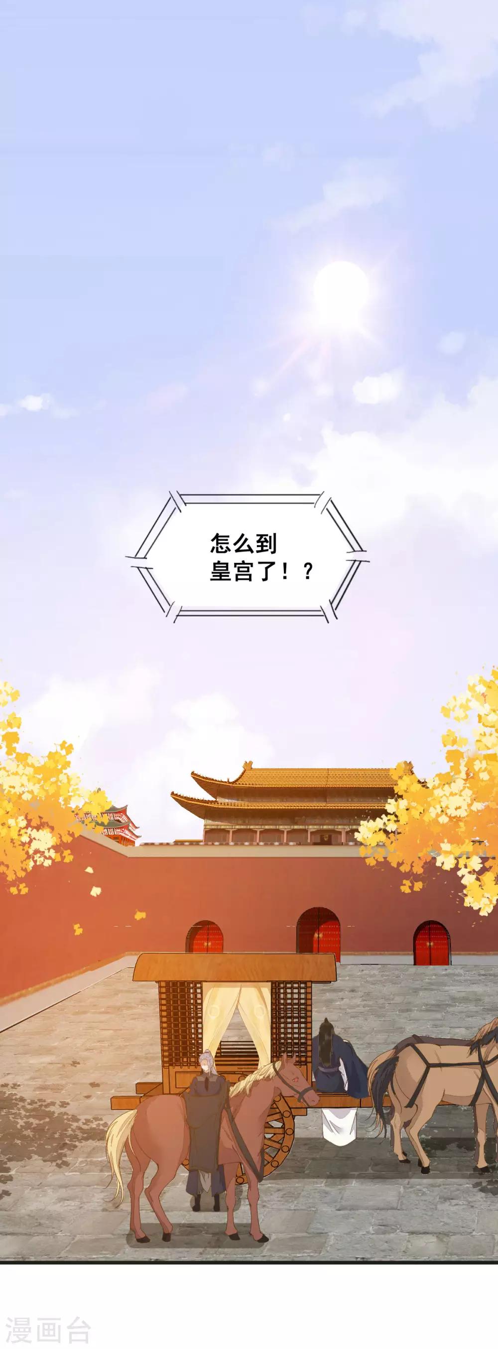 第32话 喵仙人？1