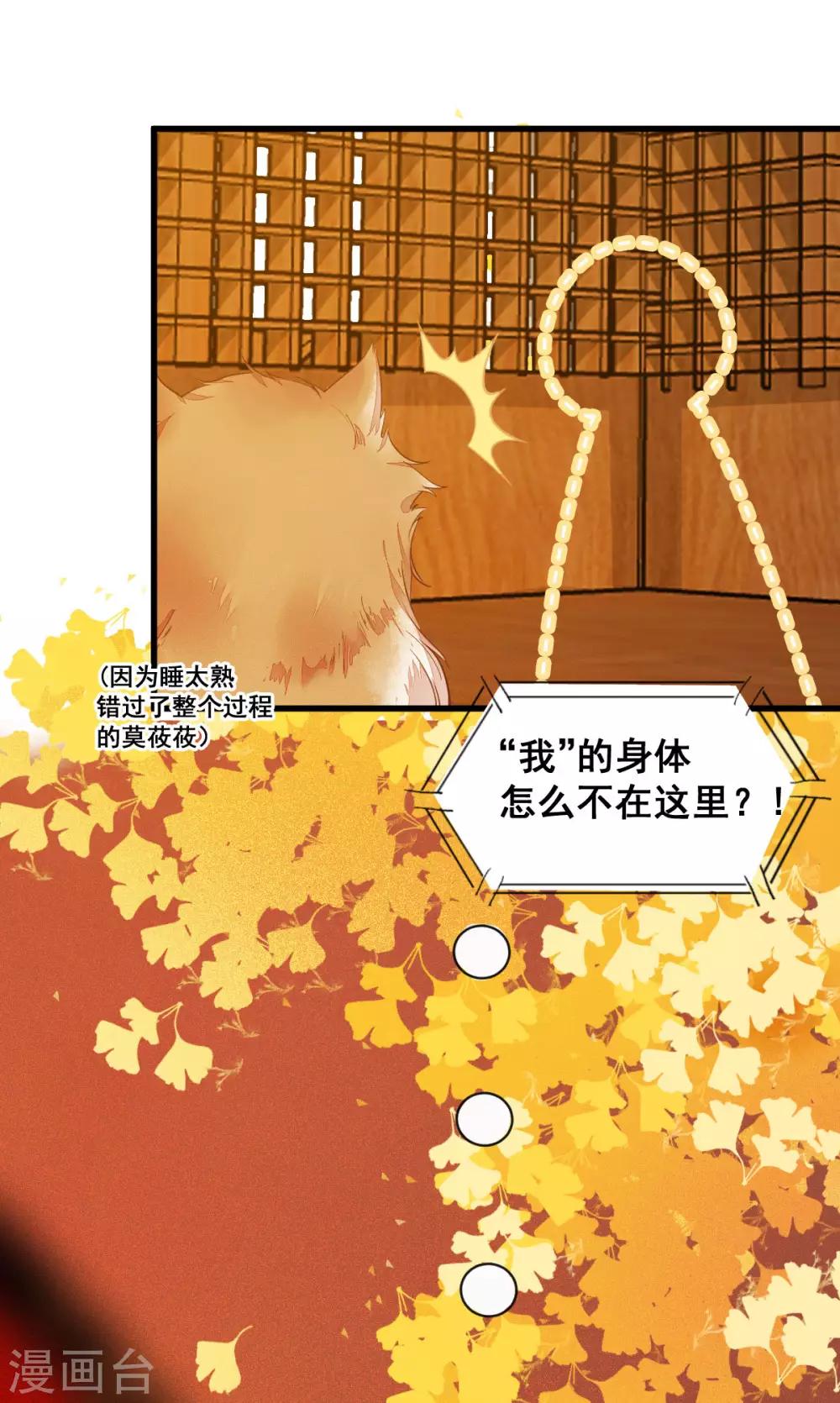 第32话 喵仙人？6