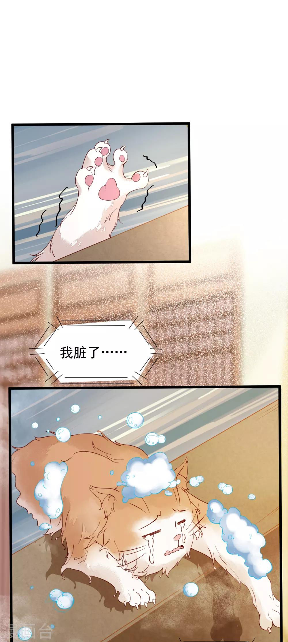第41话 变回人了？0
