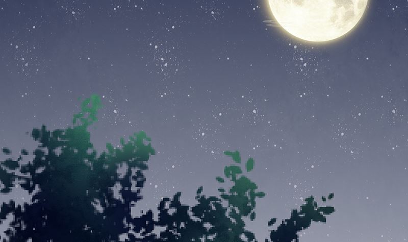 第51话 白萌萌失踪了2