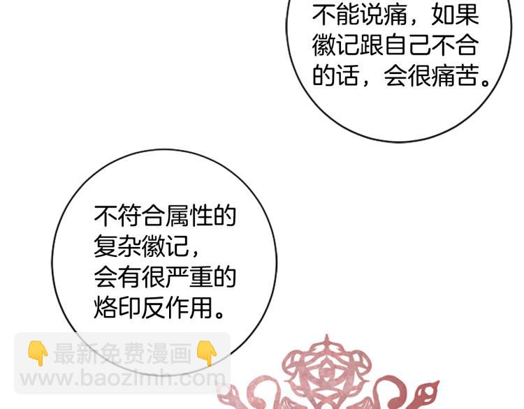 第23话 徽记87