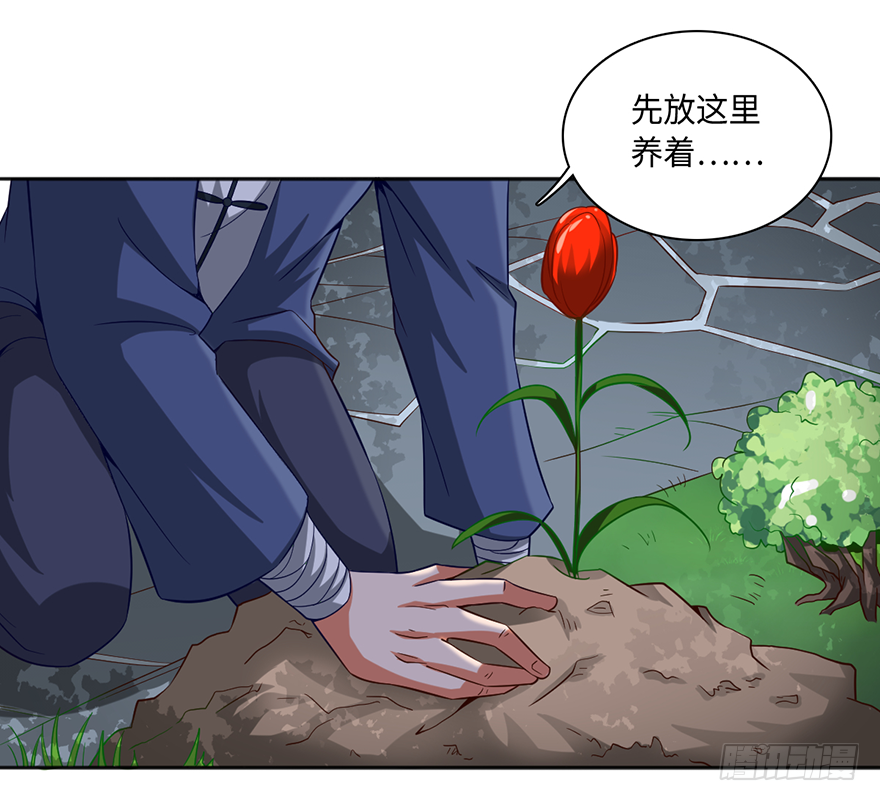 其心可诛6
