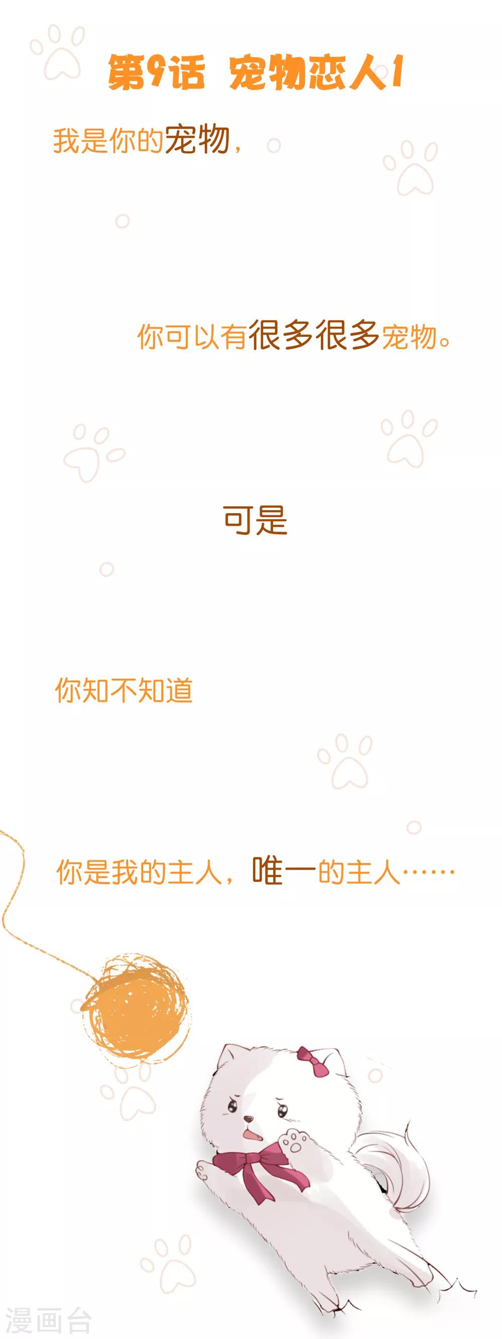 第9话 宠物恋人10