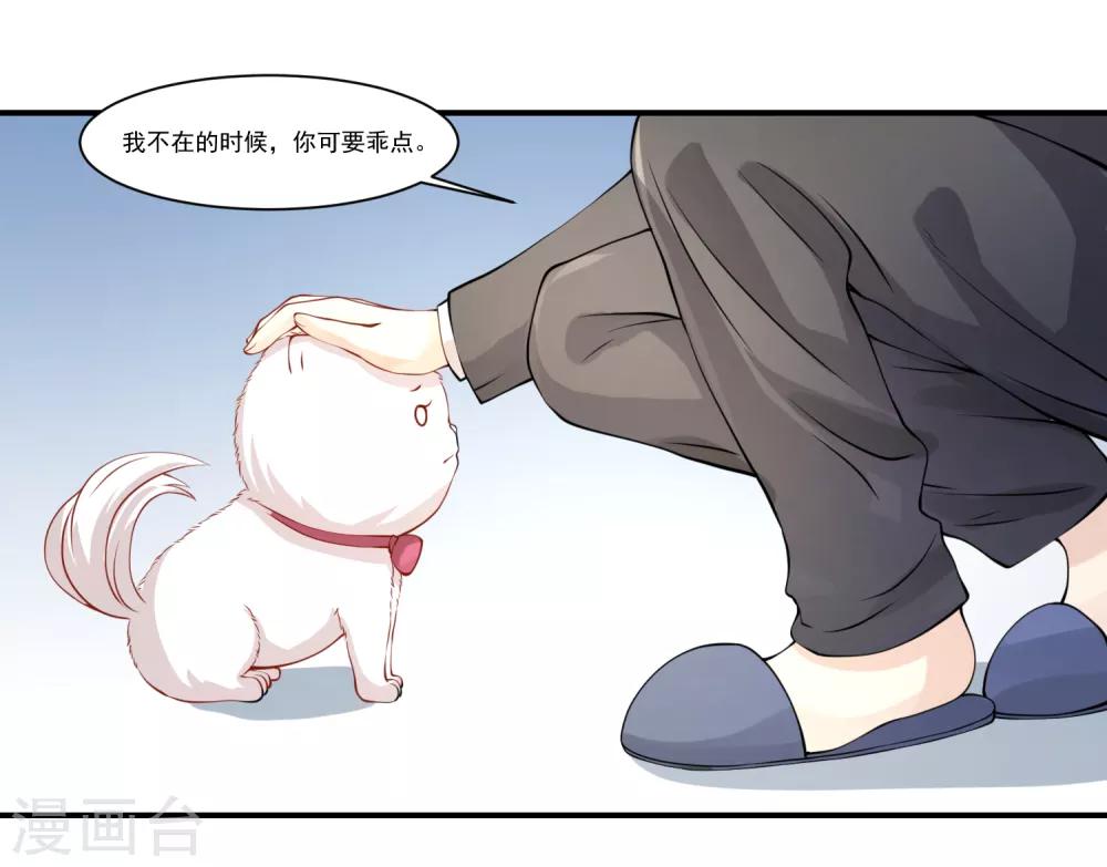 第9话 宠物恋人159