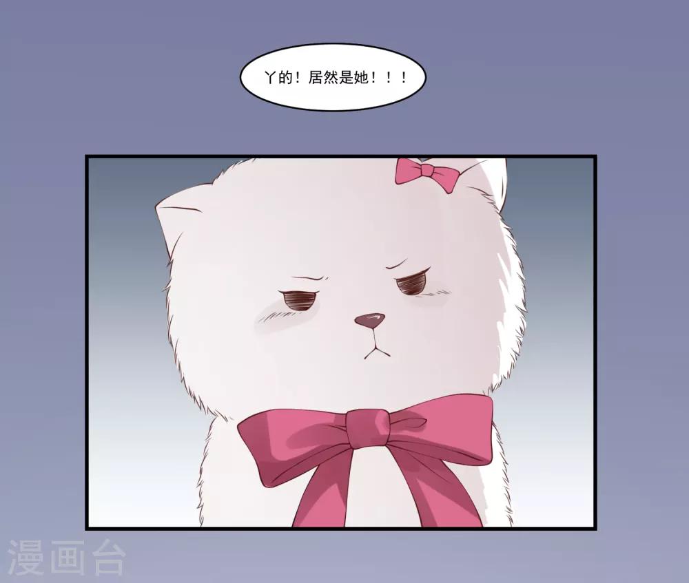 第9话 宠物恋人17