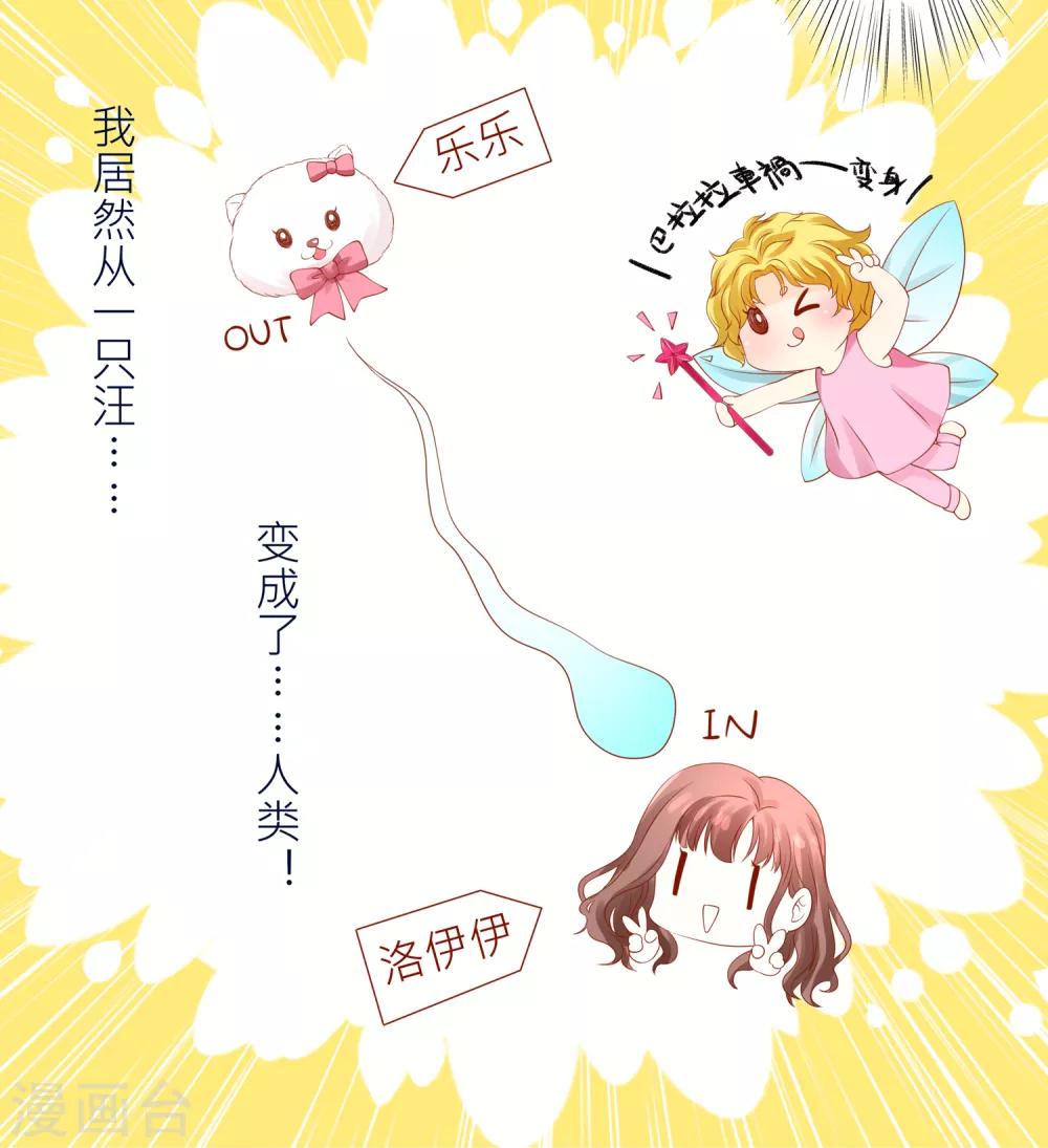 第10话 宠物恋人247