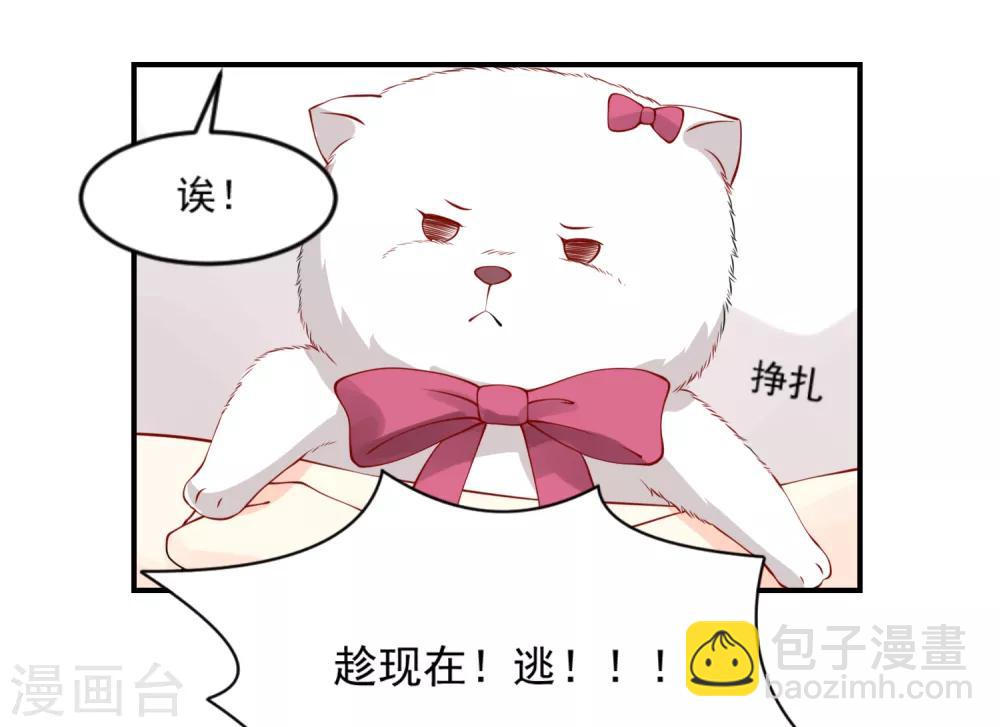 第10话 宠物恋人27