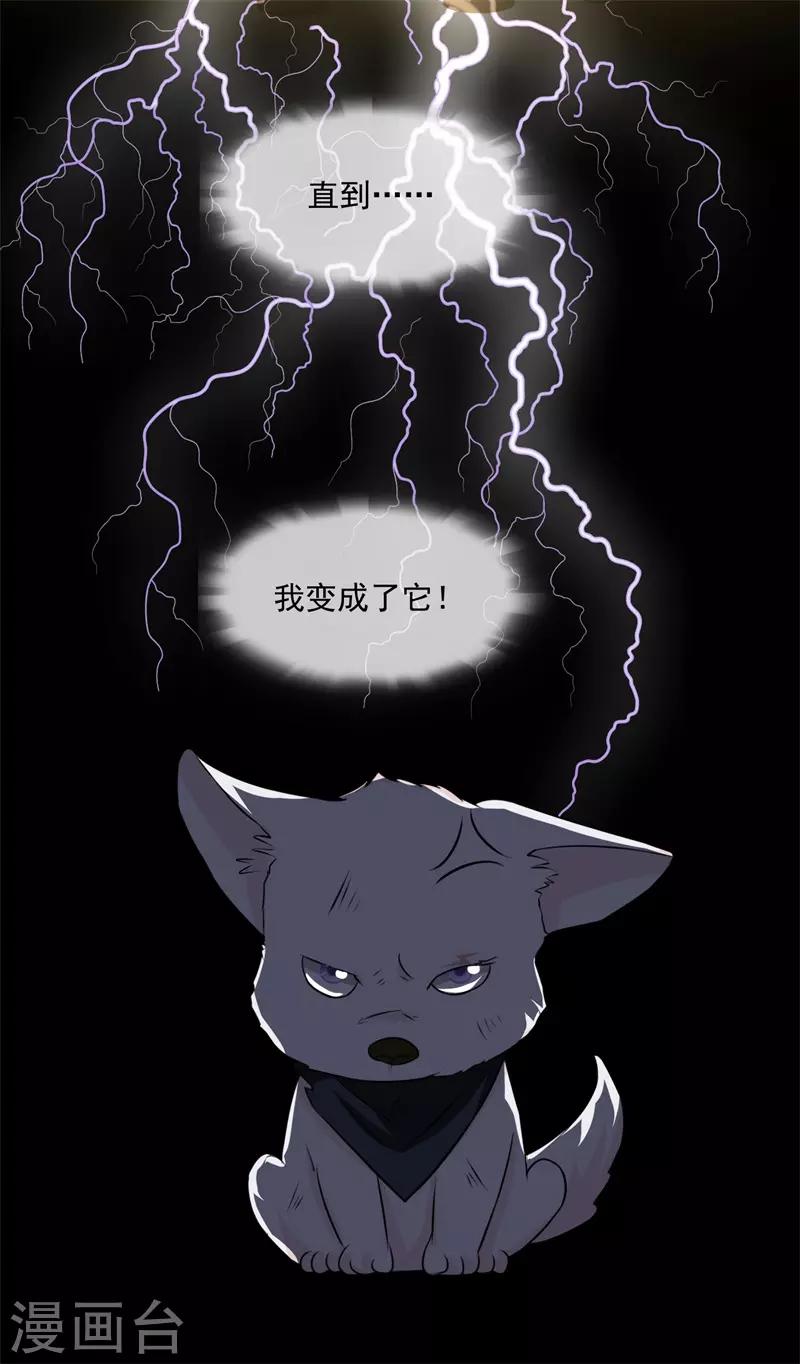 第50话 腹黑总裁小野狗15