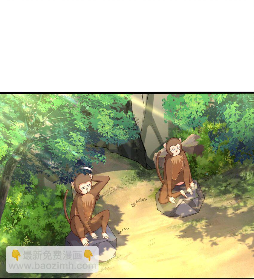 031 耍猴42