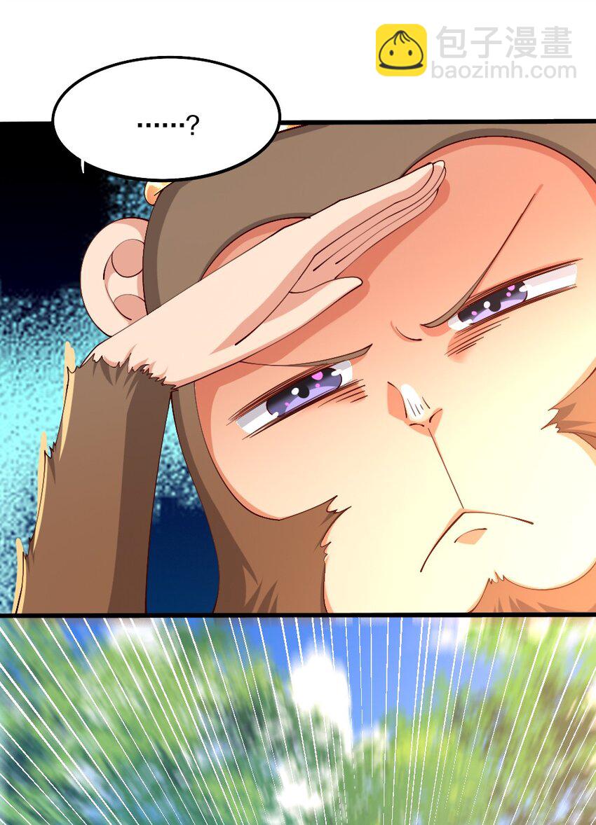 031 耍猴48