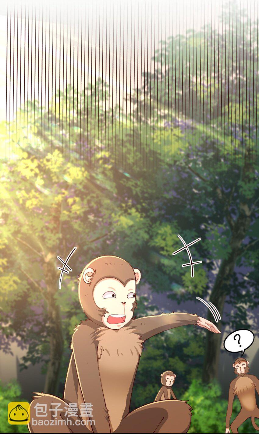 031 耍猴50