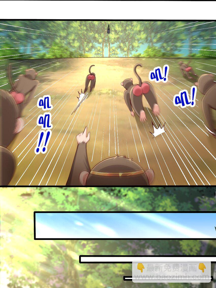 031 耍猴55