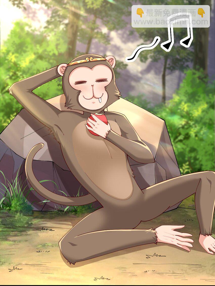 031 耍猴56