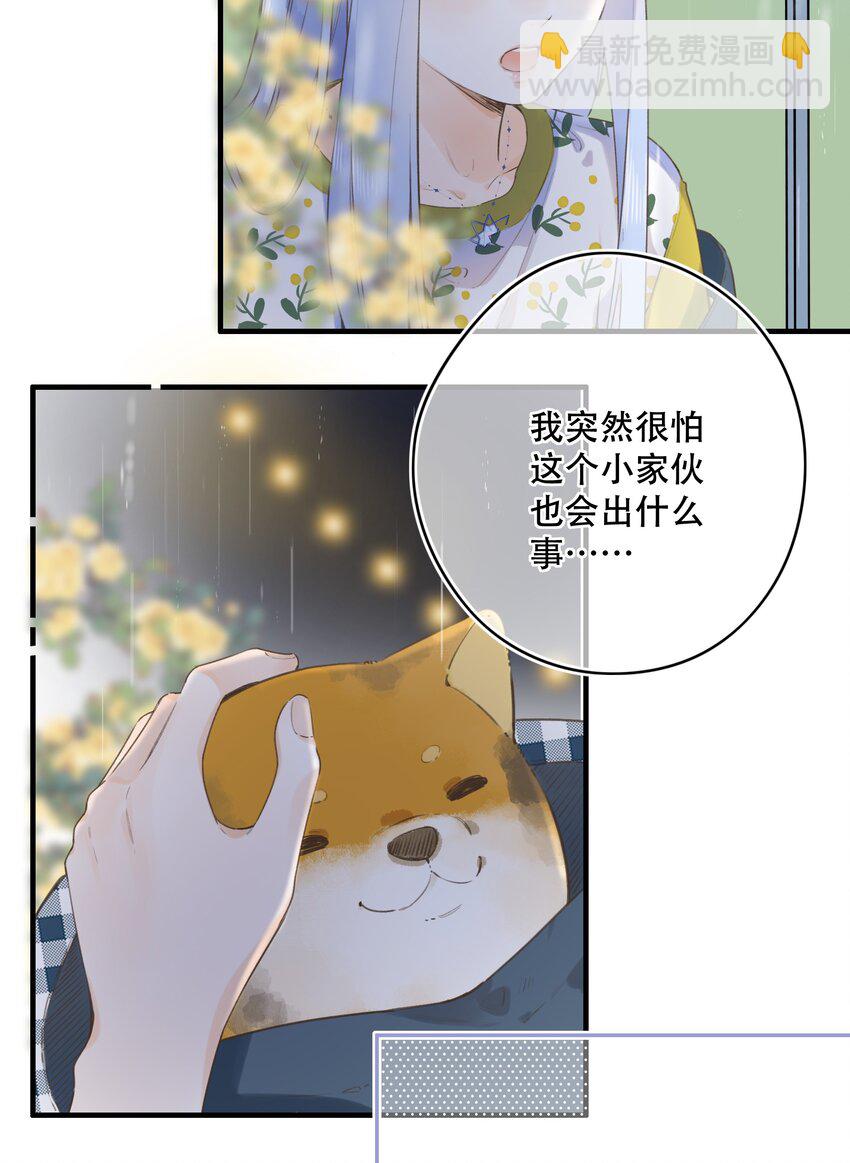 041（上） --绽放的彩虹10