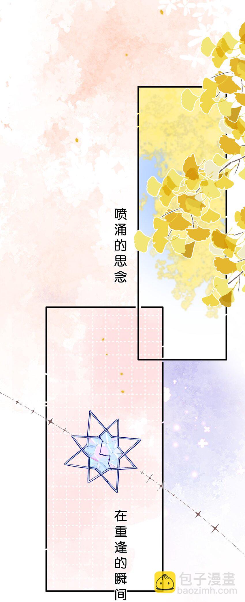 080- 灿若繁星100