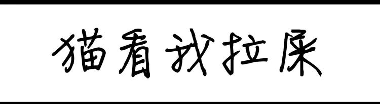 第39话 猫看我拉屎0