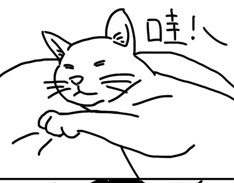 第75话 不小心打开前置1