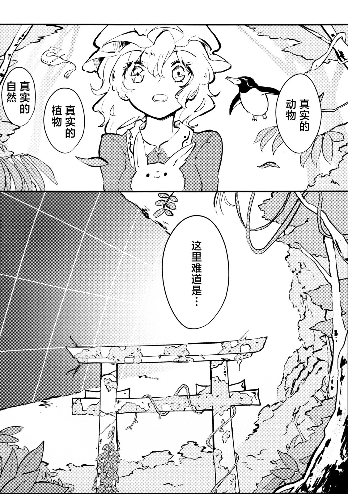 全一卷5
