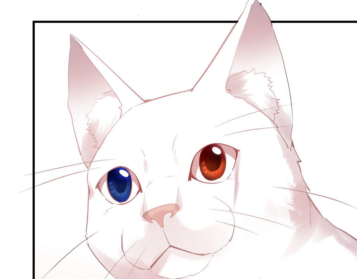 第44话98