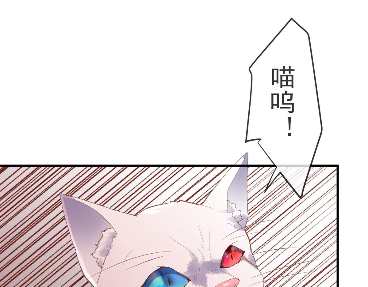 第48话66