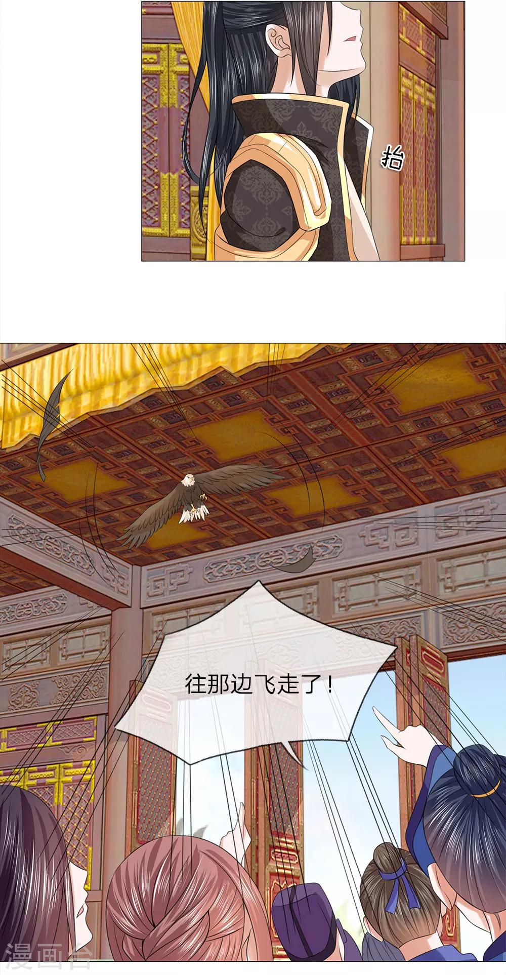 第78话 雄鹰展翅15